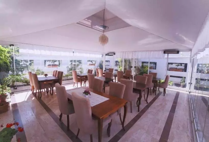 The Best Residence