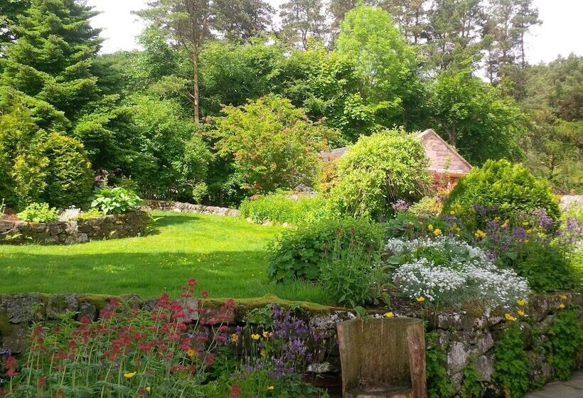 Aamiaismajoitus (B&B) Hen Cloud Cottage