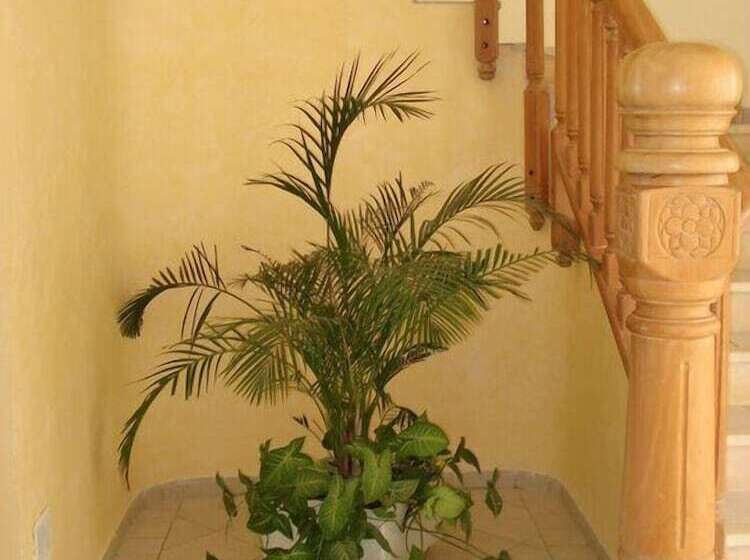 ホテル Flamingo Beach