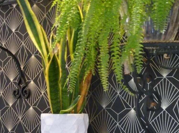 בית מלון כפרי Hôtel Le Bretagne