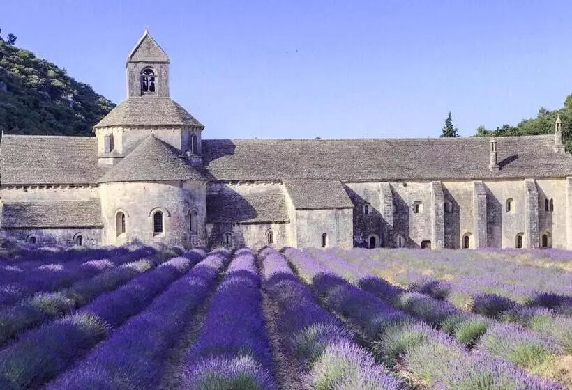 ベッドアンドブレックファースト Domaine De La Brave