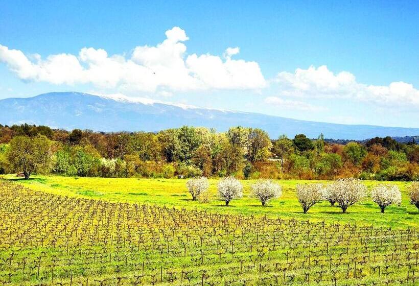 تختخواب و صبحانه Domaine De La Brave