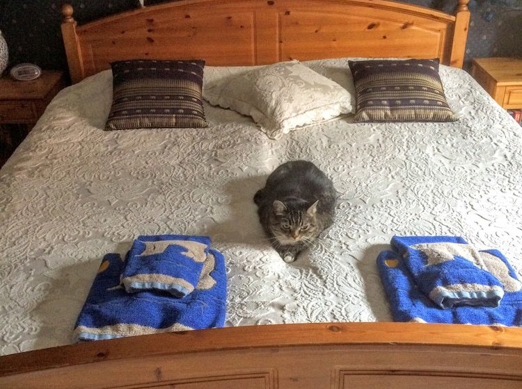 Eklanda Bed & Breakfast