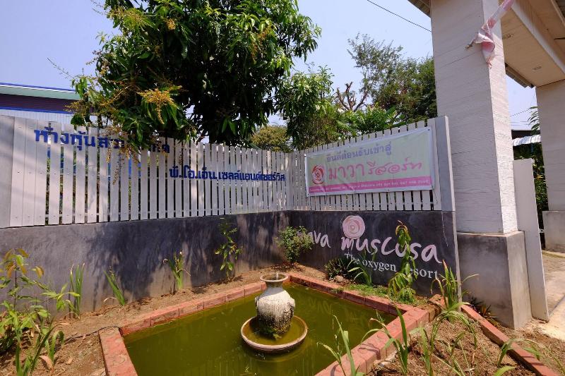 호텔 Mava Muscosa Guesthouse