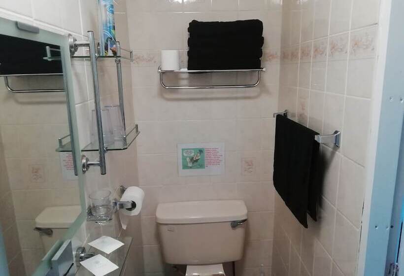 민박 The Shining Diamond