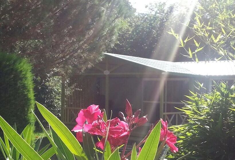 فندق Camping Des Sources