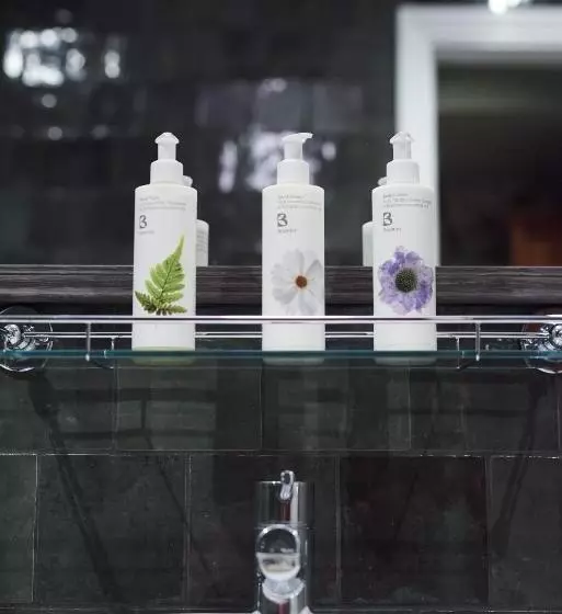 Hotelli The Kings Arms