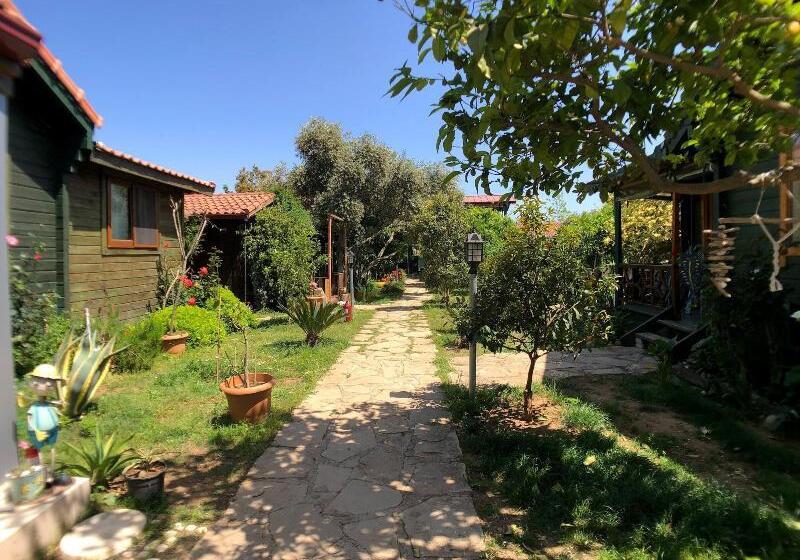 호텔 Turkuaz Bungalows