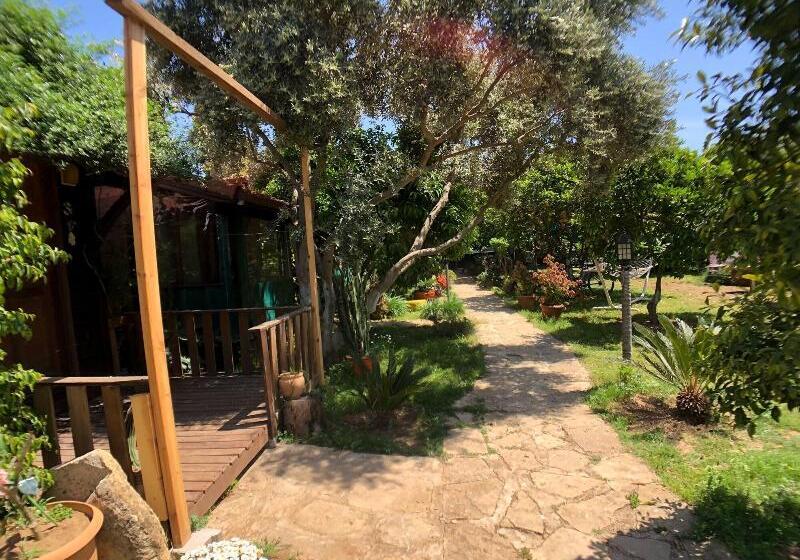 호텔 Turkuaz Bungalows