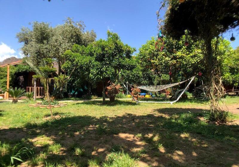 호텔 Turkuaz Bungalows