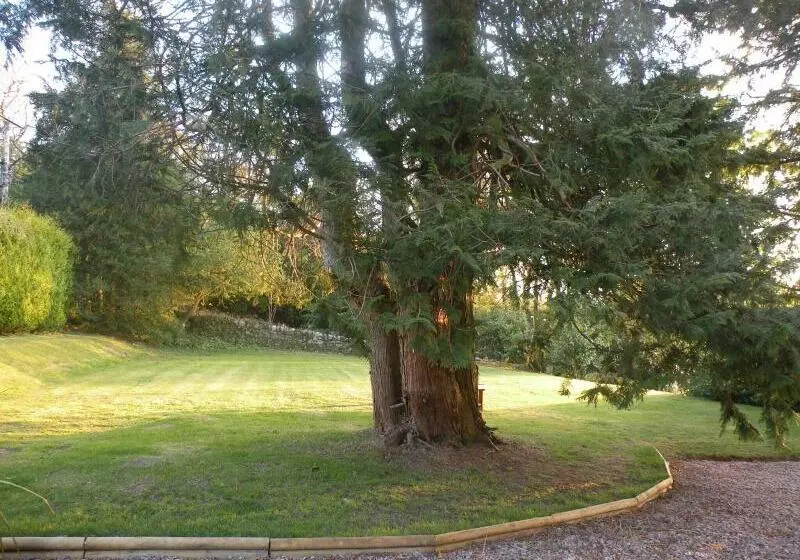 ペンション Thistle House Guest House