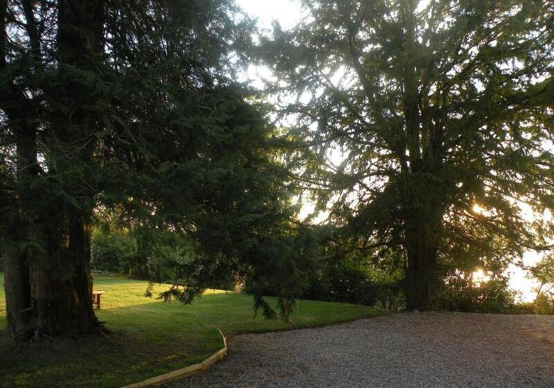 פנסיון Thistle House Guest House