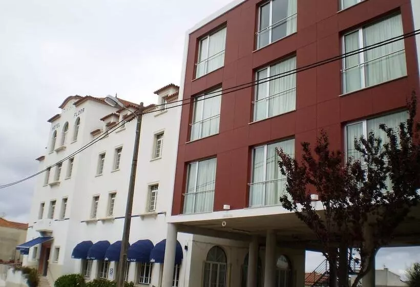 Отель Flora Monte Real