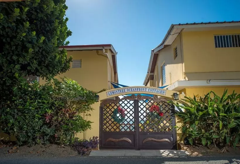 هتل Lemontree Oceanfront Cottages