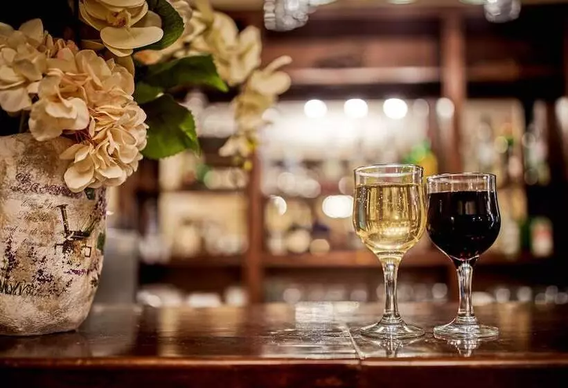 בית מלון כפרי Sinaia