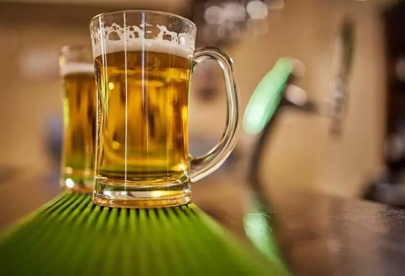 בית מלון כפרי Sinaia