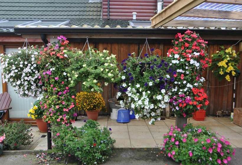 Brenfield Croft Cottages