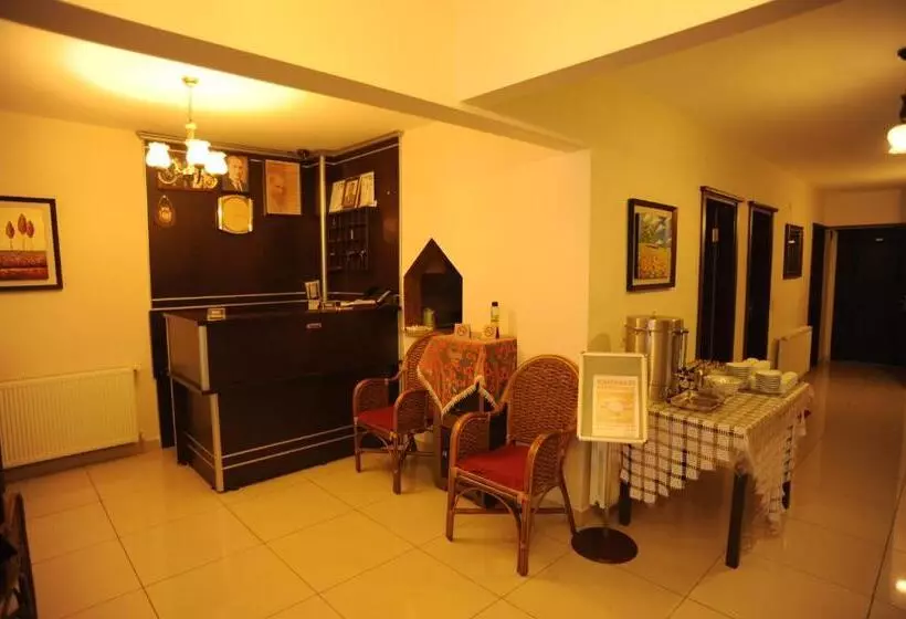 Hotelli Thermal Aydin