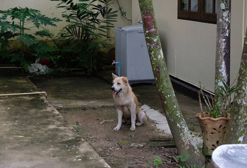 ペンション Khaopilai Bungalows