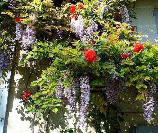 بنسيون Les Jardins De Camelot