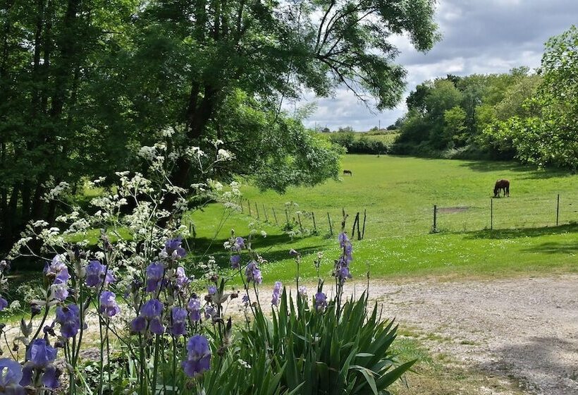 بنسيون Les Jardins De Camelot