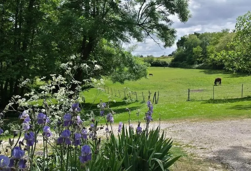 پانسیون Les Jardins De Camelot