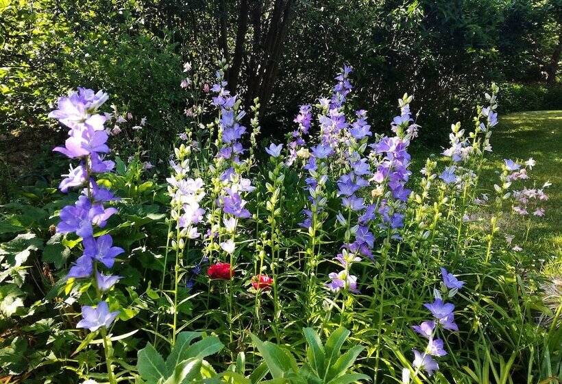 بنسيون Les Jardins De Camelot