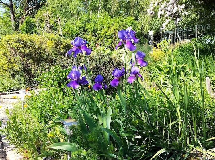 بنسيون Les Jardins De Camelot