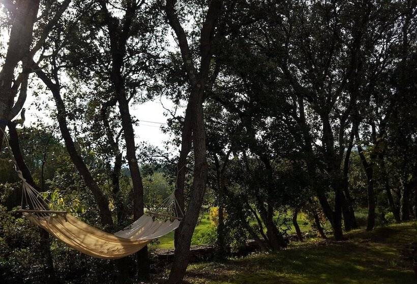 تختخواب و صبحانه Les Terrasses Gordes