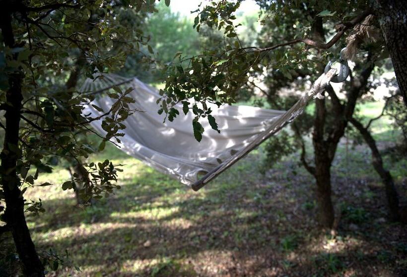 تختخواب و صبحانه Les Terrasses Gordes