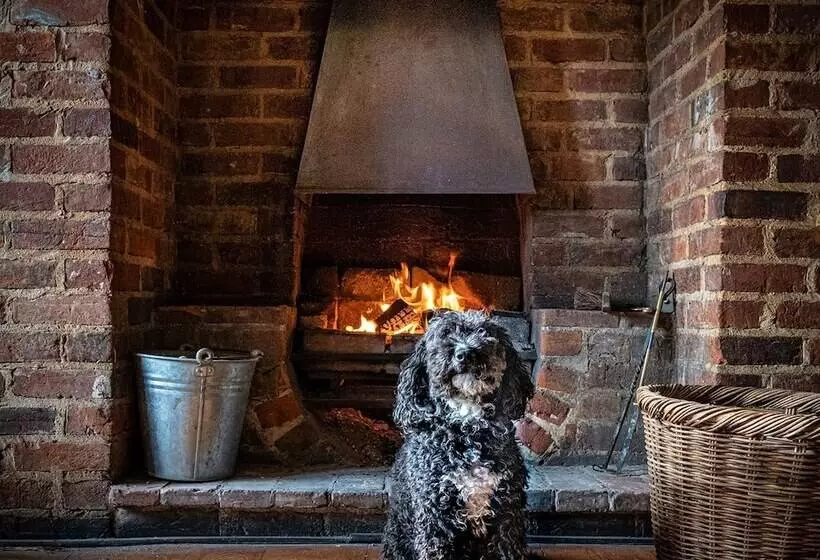 Hostelli The Cricketers