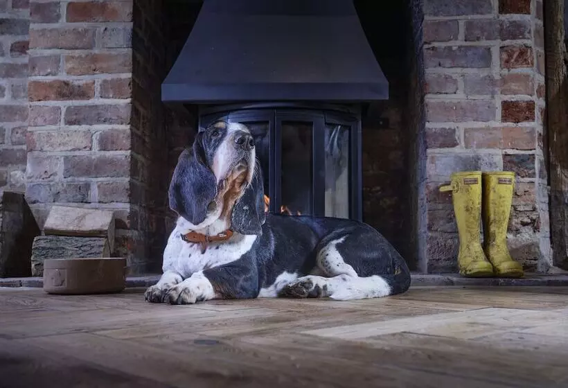 Hostelli The Cricketers