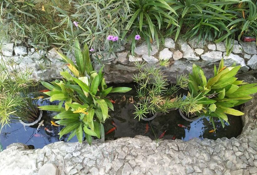 هتل Tas Boutique Resort