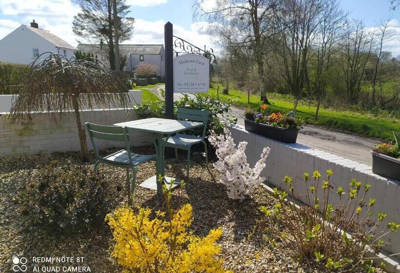 Midtown Farm Bed & Breakfast