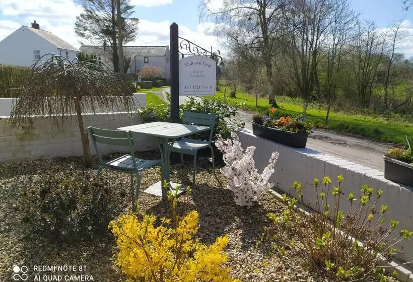 Midtown Farm Bed & Breakfast