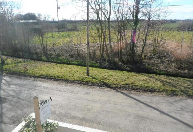 Midtown Farm Bed & Breakfast