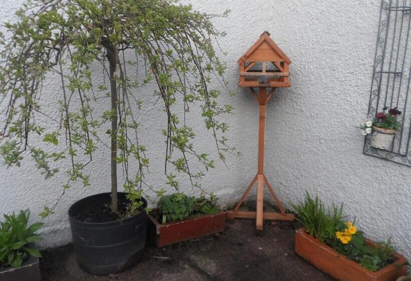 Midtown Farm Bed & Breakfast