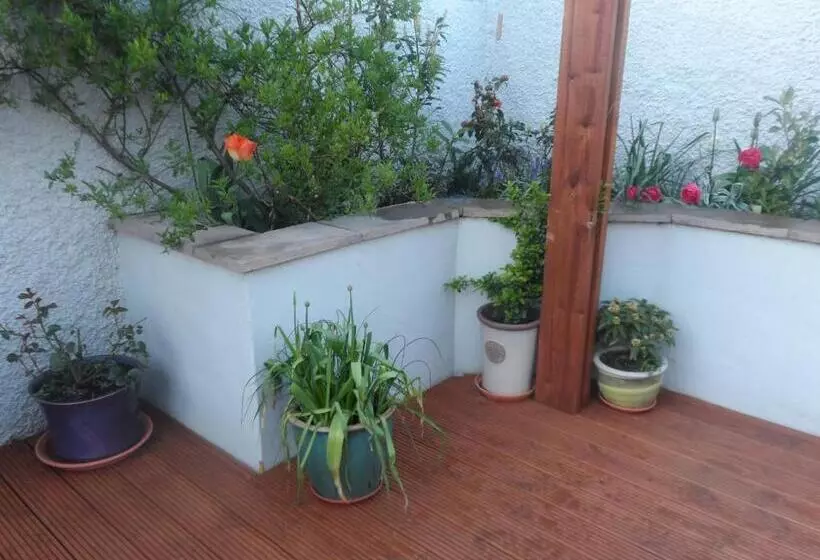 Midtown Farm Bed & Breakfast