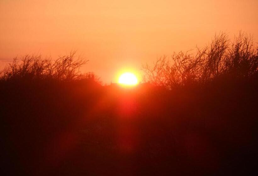 Midtown Farm Bed & Breakfast