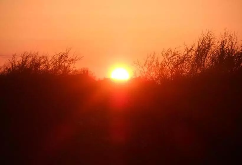 Midtown Farm Bed & Breakfast