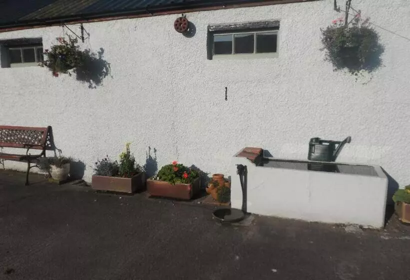 Midtown Farm Bed & Breakfast