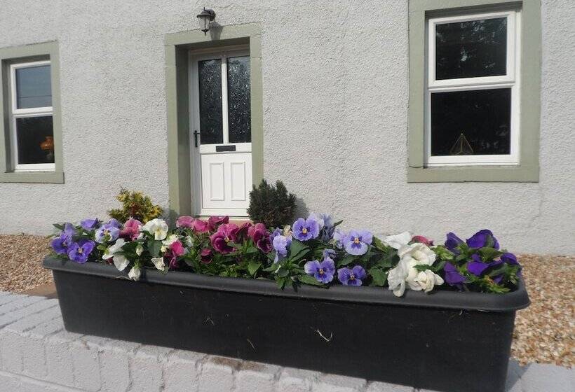 Midtown Farm Bed & Breakfast