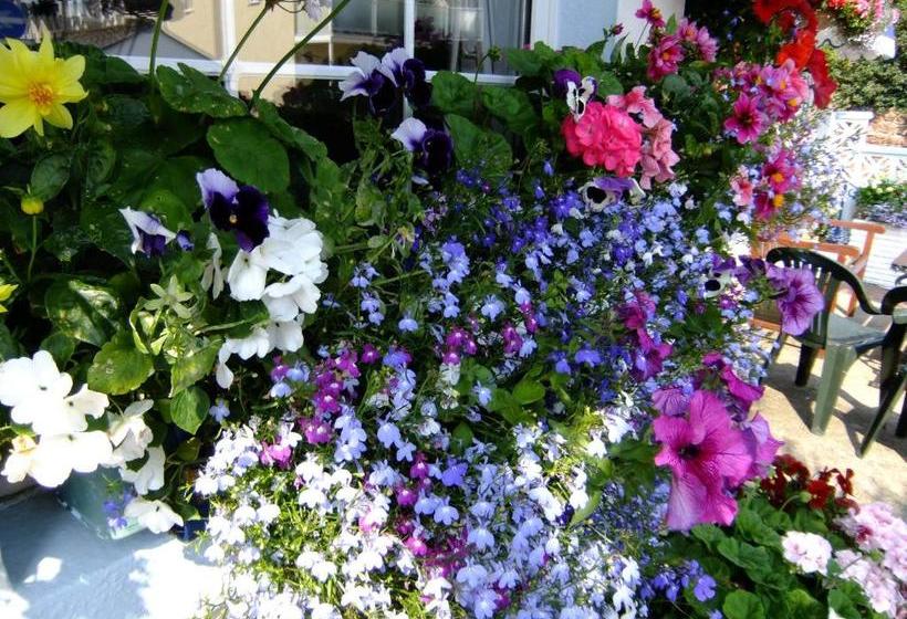 Pensjonat Sea Spray House