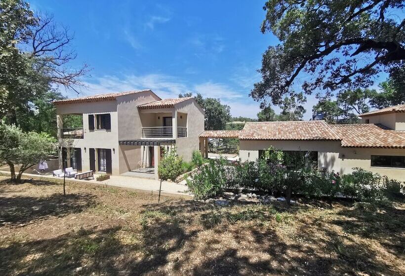 ペンション Villa Saona