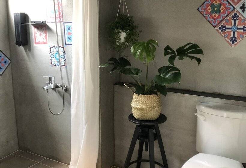 پانسیون Zozola