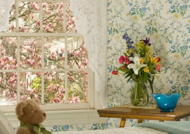 Bed & Breakfast Main Street Manor