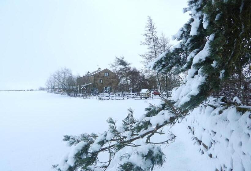 مبيت وإفطار West Nattrass Guesthouse