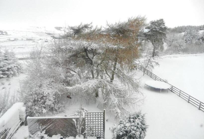 مبيت وإفطار West Nattrass Guesthouse