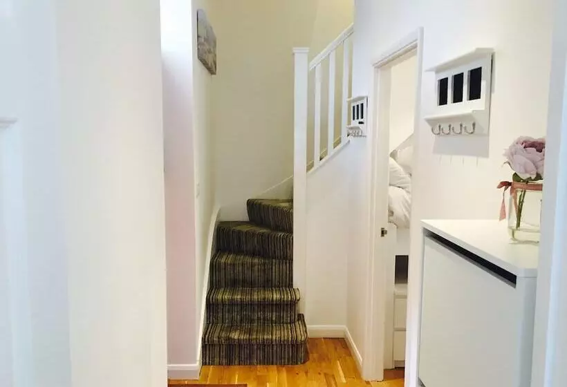 Brighton Metro Pad