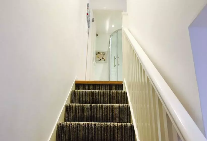 Brighton Metro Pad